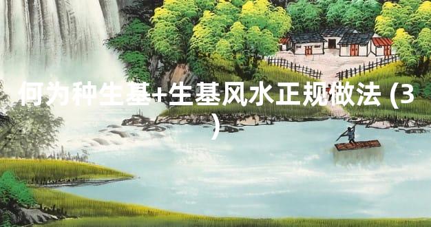 何为种生基+生基风水正规做法 (3)